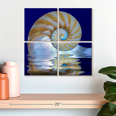Aletra Nautilus sur l'eau