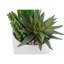 Plante artificielle