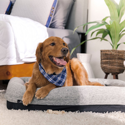 Lit pour chien Bedgear Performance - moyen / grand - housse durable et lavable