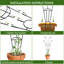 Ensemble de 4 treillis en métal pour plantes grimpantes, piquets de soutien intérieur et extérieur de 30 po pour plantes en pot
