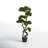 Panama 37 " H Faux Bonsai Tree in Plastic Pot Liner