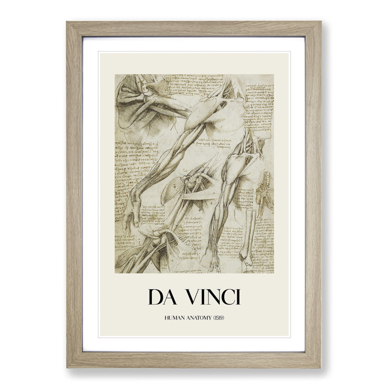 Human Anatomy Vol.1 by Leonardo Da Vinci - Picture Frame Drawing, 36cm H x 27cm W x 2cm D, Oak Framed
