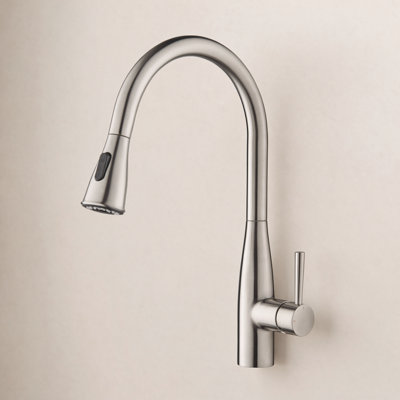 Bari-T Pull-Down Faucet with Accessories