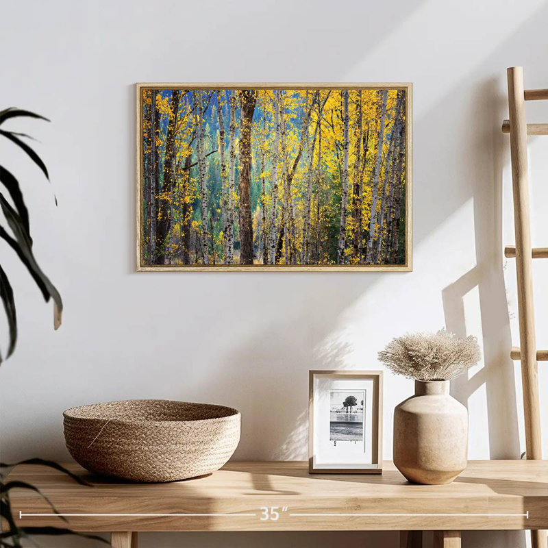 Kootenay Fall II, 19 po x 13 po, Cadre flottant en bois naturel