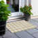 Colzie Checkered Indoor / Outdoor Rug