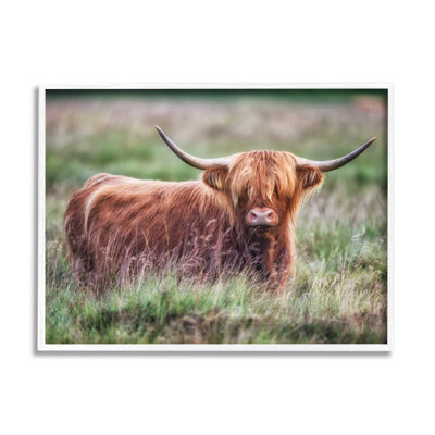Highland Longhorn, bovins, pâturages, campagne, prairies, par James Dobson - Photographie flottante sur bois