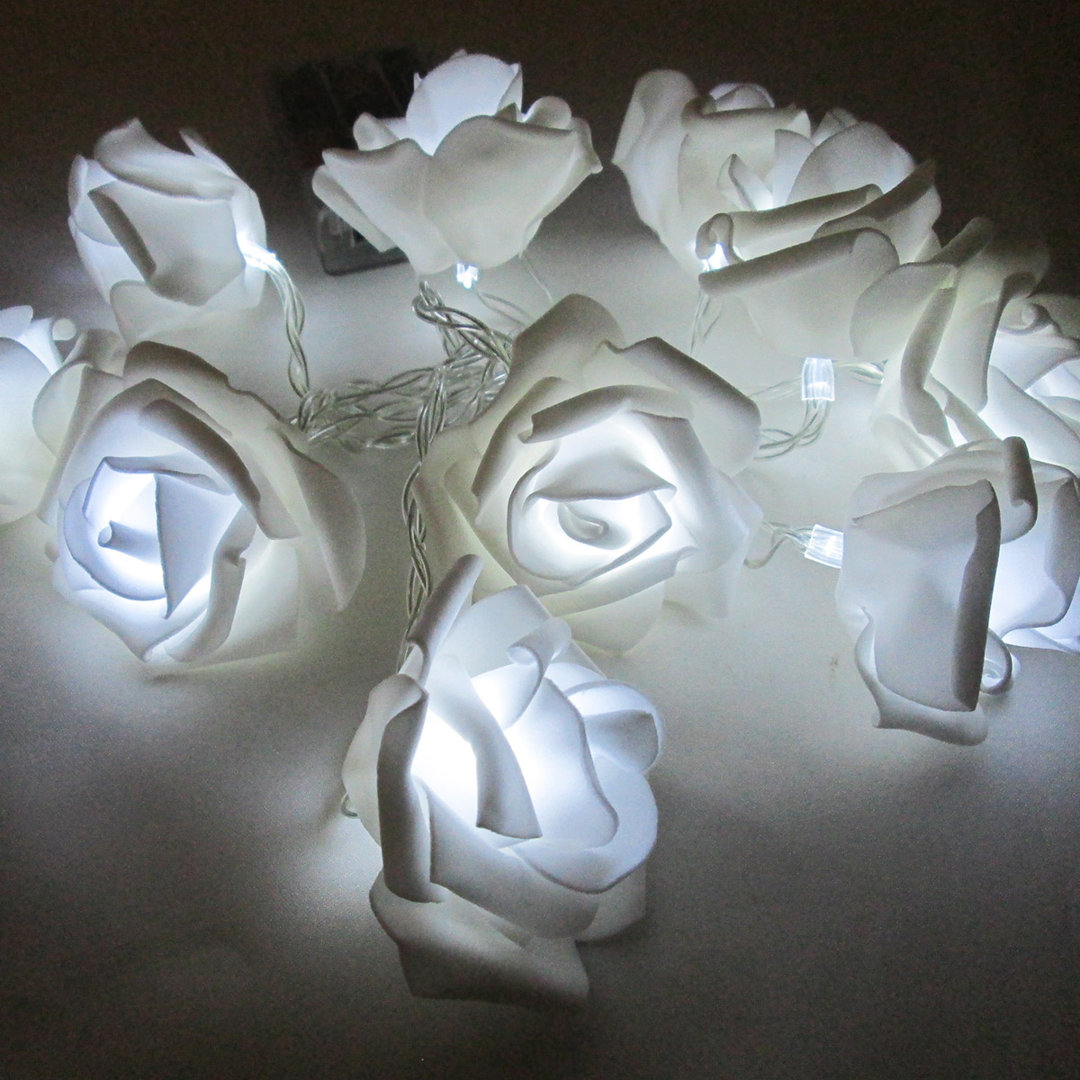 Aimee-May Indoor 10 - Bulb 72'' Battery Powered LED Novelty String Light House of Hampton®