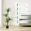 Arbre de Dracaena artificiel 4 pi, plante Dracaena réaliste réaliste, plante d'intérieur Dracaena haute pour décoration intérieure