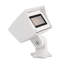 LED Flood Light