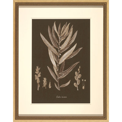 Sepia Leaves On Chocolate I Painting