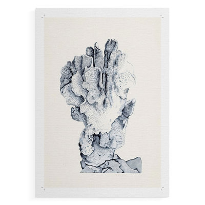 Blue Antique Coral IV -Canvas Print Only - NOT FRAMED