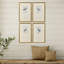 Antique Hummingbirds Framed Art
