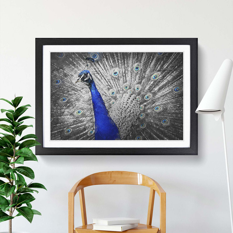 Peacock with Its Feathers Spread - Picture Frame Graphic Art Print, 27cm H x 36cm W x 2cm D, Black Framed