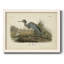 Audubons Blue Heron, reproduction d'art sur toile-2120642642-2120642655