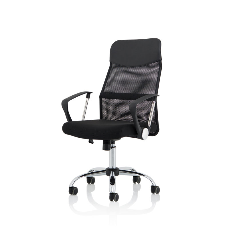Executive Chair with Headrest
