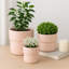 Pot de fleurs de style champignon pour la décoration intérieure et extérieure - Pots de fleurs pour la décoration de salon ou de patio - ensemble de 3, 9 po, 7 po 6 po, rose-2092625232