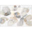 Blanched Print