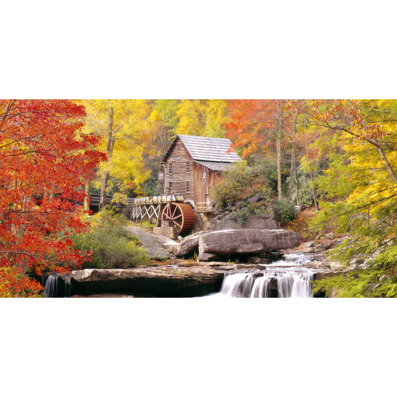 Landscape & Nature Non-Wall Damaging Window Decal, 40" H x 80" W x 0.02" D