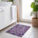 Machine Washable Indoor/Outdoor Claudian ACN1637 Eggplant Rug