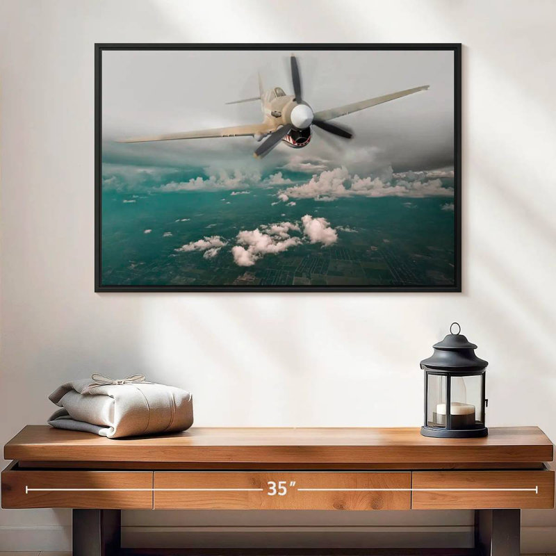 Avion Curtiss P 40 Warhawk, 25 po x 17 po, Cadre flottant noir