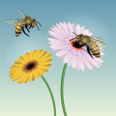 Inglenook Honey Bee - Wrapped Canvas Print