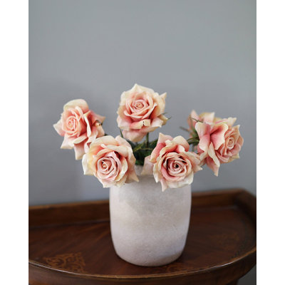 Hollandaise pêche rose 20 po