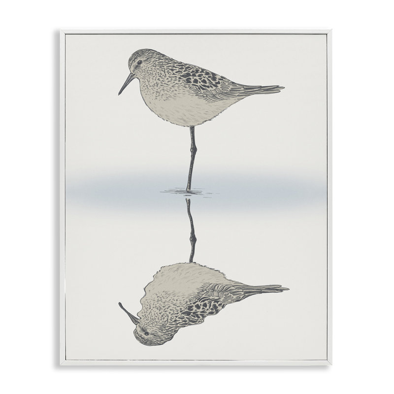 "Bécasseau tranquille", art de la giclée encadrée par Ziwei Li, H 14 po x l 11 po x P 1,5 po