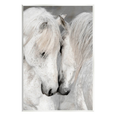 «Hugling Horse Duo Wildlife» par Danita Delimont - photographie sans cadre sur panneau de fibres à densité moyenne