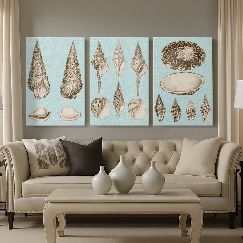 Sépia et turquoise coquillages I - Toile tendue sur mesure - 3 pièces, H 12 po x l 24 po