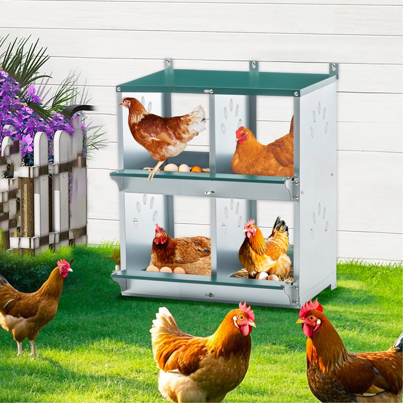 4 Compartment Chicken Nesting Boxes, Metal Nesting Boxes Wall Mount Chicken Egg Laying Box for Different Chicken Breeds