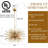 Nomsa 12 - Light Chandelier