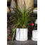 Ceramic Pot Planter-874154186
