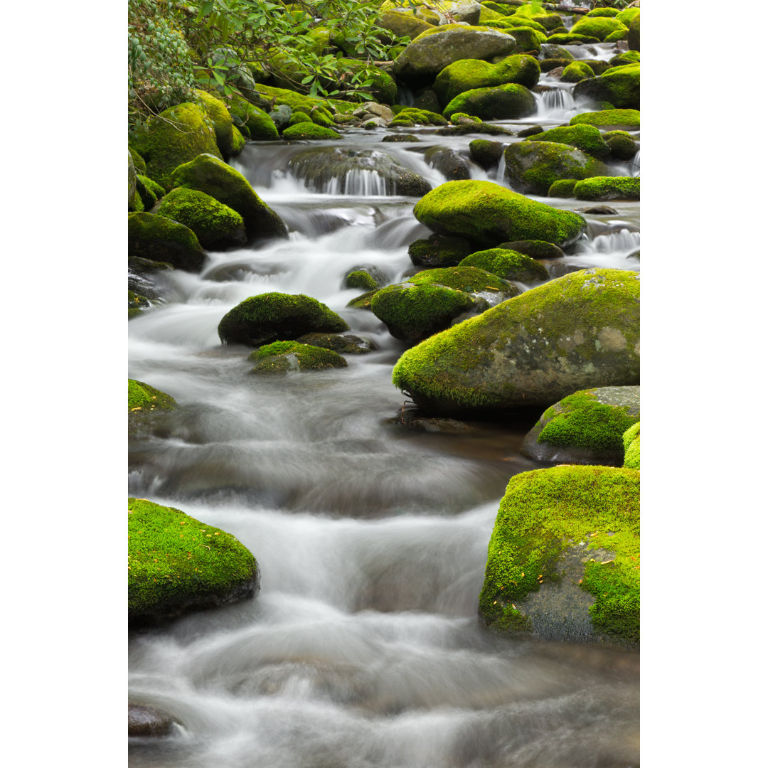 Mountain Stream von Kencanning - Kunstdrucke auf Leinwand