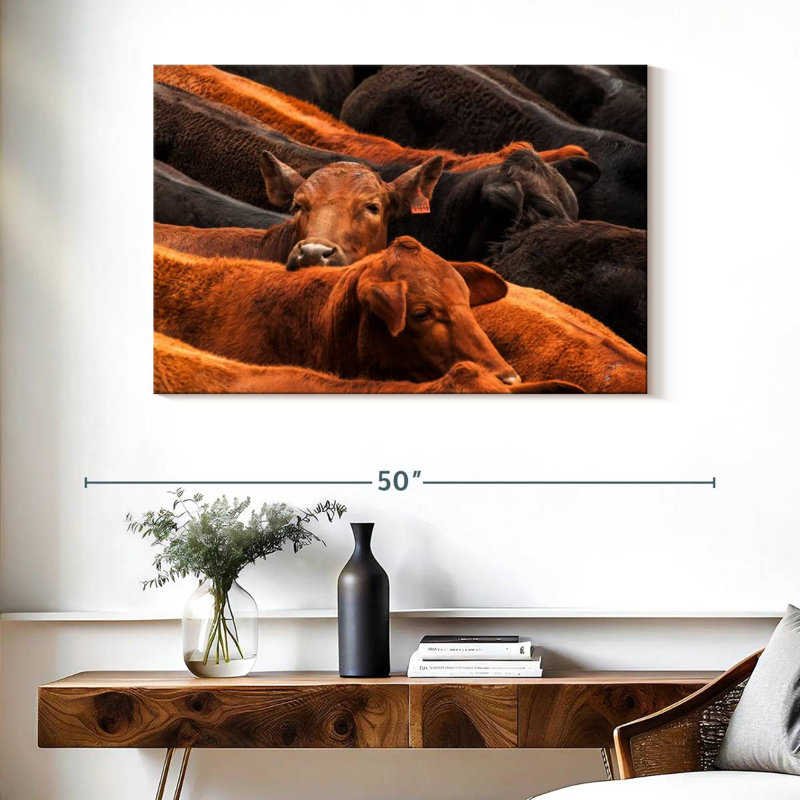 Beef Cattle, 26" H x 39" W