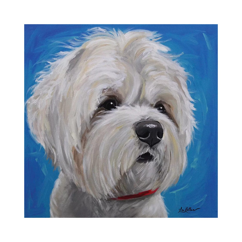 Maltese Shihtzu Mix - Pipa by Hippie Hound Studios - Wrapped Canvas Painting, 93.98 cm H x 93.98 cm W x 1.91 cm D