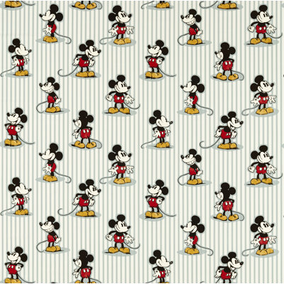 Mickey Stripe Fabric