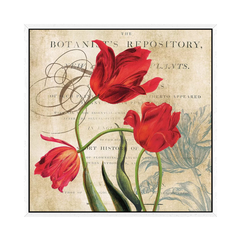 Botanist's Repository by Carol Robinson - Print on Canvas, 45.72 cm H x 45.72 cm W, White Framed