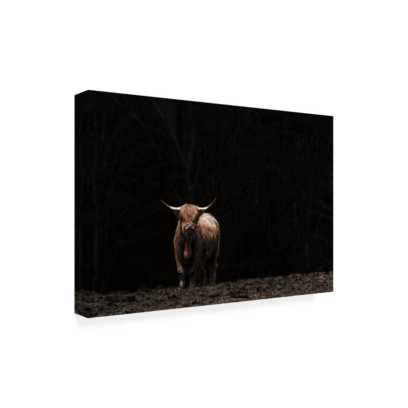  Art mural sur toile Nathan Larson, H 30 po x l 47 po