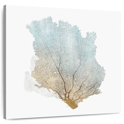 Corail délicat Brampt I