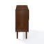 Ayinde Accent Cabinet-21661259