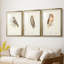 Petite chouette - impression encadrée sur mesure de qualité supérieure - 3 pièces-451118260-451118267