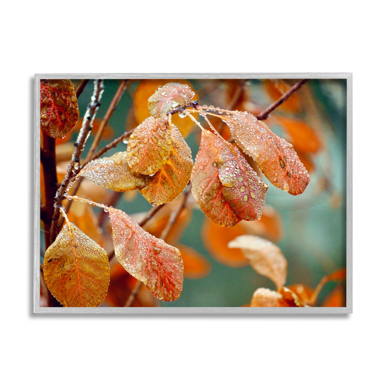 «Autumn Tree Leaves Water Droplets Fall Foliage» par Gail Peck - photographie sur toile flottante