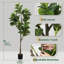 Figuier artificiel de 6 pi en pot