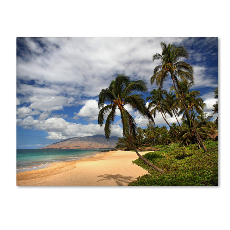 Kamaole Tropical Beach Landscape Canvas Art, 16 x 24