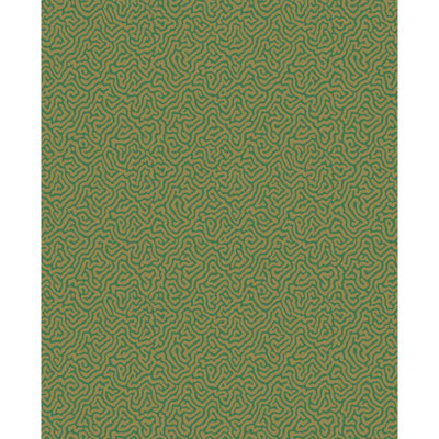 Curio Vermicelli Abstract Wallpaper Roll