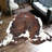 Tapis brun/blanc vache Dalewood