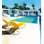 Oasis 2 Print by Ngo, PC-1702988432