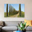 « cypress lineed saleté road », reproduction de photo sur toile-29175931-72777430-72773282