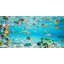 Fish And Sharks I Bora Bora Lagoon - Wrapped Canvas Print-1337466854