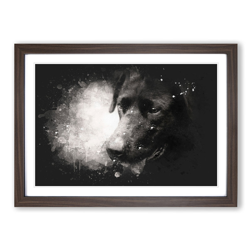 Black Labrador - Picture Frame Painting Print, 33cm H x 45cm W x 2cm D, Walnut Framed